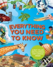 Capa do artigo Everything You Need To Know