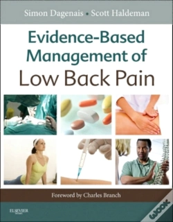Capa do artigo Evidence-Based Management Of Low Back Pain - E-Book