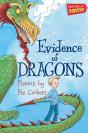 Evidence Of Dragons - Preview