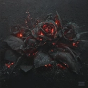 Capa do artigo EVOL - Vinil