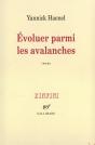 Evoluer Parmi Les Avalanches - Preview