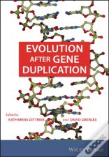 Evolution After Gene Duplication