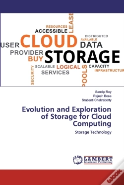 Capa do artigo Evolution And Exploration Of Storage For