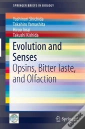 Evolution And Senses