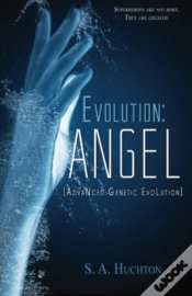 Capa do artigo Evolution: Angel