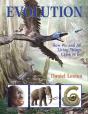 Evolution - Preview