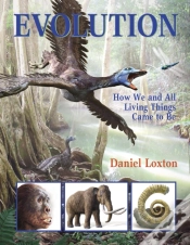Capa do artigo Evolution