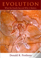 Capa do artigo Evolution
