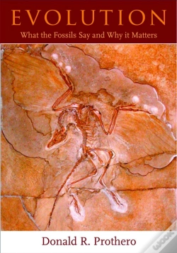Capa do artigo Evolution