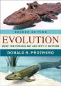 Evolution - Preview