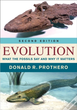 Capa do artigo Evolution