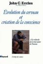Evolution Du Cerveau Et Création De Conscience : A La Recherche De La Vraie Nature De L'Homme - Preview