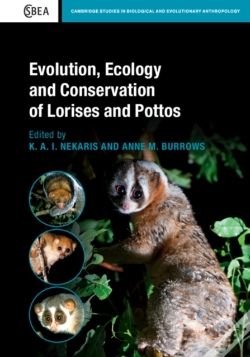 Capa do artigo Evolution, Ecology And Conservation Of Lorises And Pottos