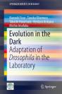 Evolution In The Dark - Preview
