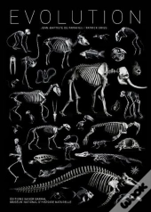 Évolution