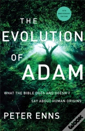 Capa do artigo Evolution Of Adam