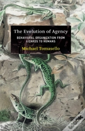Capa do artigo Evolution Of Agency