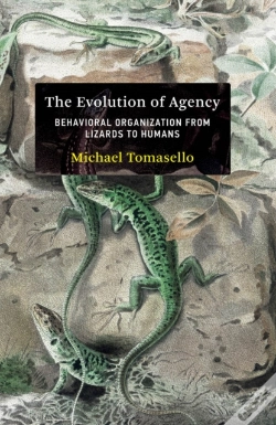 Capa do artigo Evolution Of Agency