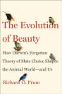 Evolution Of Beauty - Preview