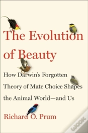 Capa do artigo Evolution Of Beauty