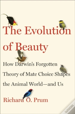 Capa do artigo Evolution Of Beauty
