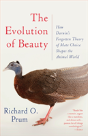 Evolution Of Beauty - Preview