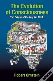 Capa do artigo Evolution Of Consciousness