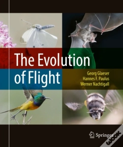 Capa do artigo Evolution Of Flight