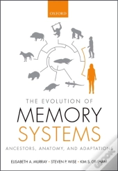 Evolution Of Memory Systems