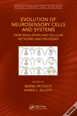 Capa do artigo Evolution Of Neurosensory Cells And Systems