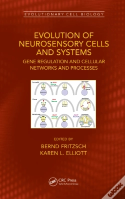 Capa do artigo Evolution Of Neurosensory Cells And Systems