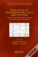 Evolution Of Neurosensory Cells And Systems