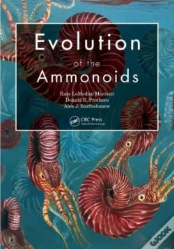 Capa do artigo Evolution Of The Ammonoids