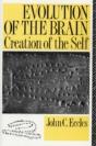 Evolution Of The Brain: Creation Of The Self - Preview