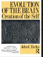 Evolution Of The Brain: Creation Of The Self - Preview