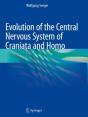 Evolution Of The Central Nervous System Ofâ Craniataâ And Homo - Preview