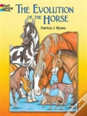 Capa do artigo Evolution Of The Horse