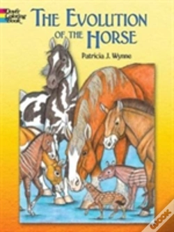 Capa do artigo Evolution Of The Horse