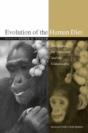 Evolution Of The Human Diet - Preview