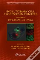 Evolutionary Cell Processes In Primates