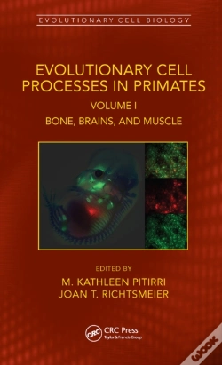 Capa do artigo Evolutionary Cell Processes In Primates