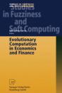 Evolutionary Computation In Economics And Finance - Preview