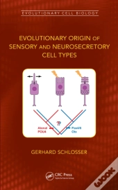 Evolutionary Origin Of Sensory And Neurosecretory Cell Types