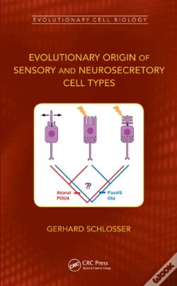 Capa do artigo Evolutionary Origin Of Sensory And Neurosecretory Cell Types