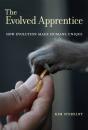 Evolved Apprentice - Preview