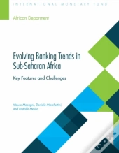 Evolving Banking Trends In Sub-Saharan Africa