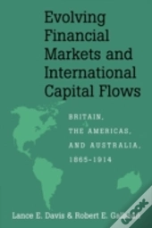 Evolving Financial Markets And International Capital Flows