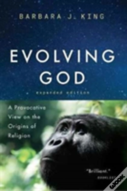 Capa do artigo Evolving God