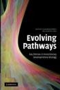 Evolving Pathways - Preview