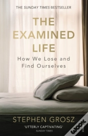 Capa do artigo Examined Life